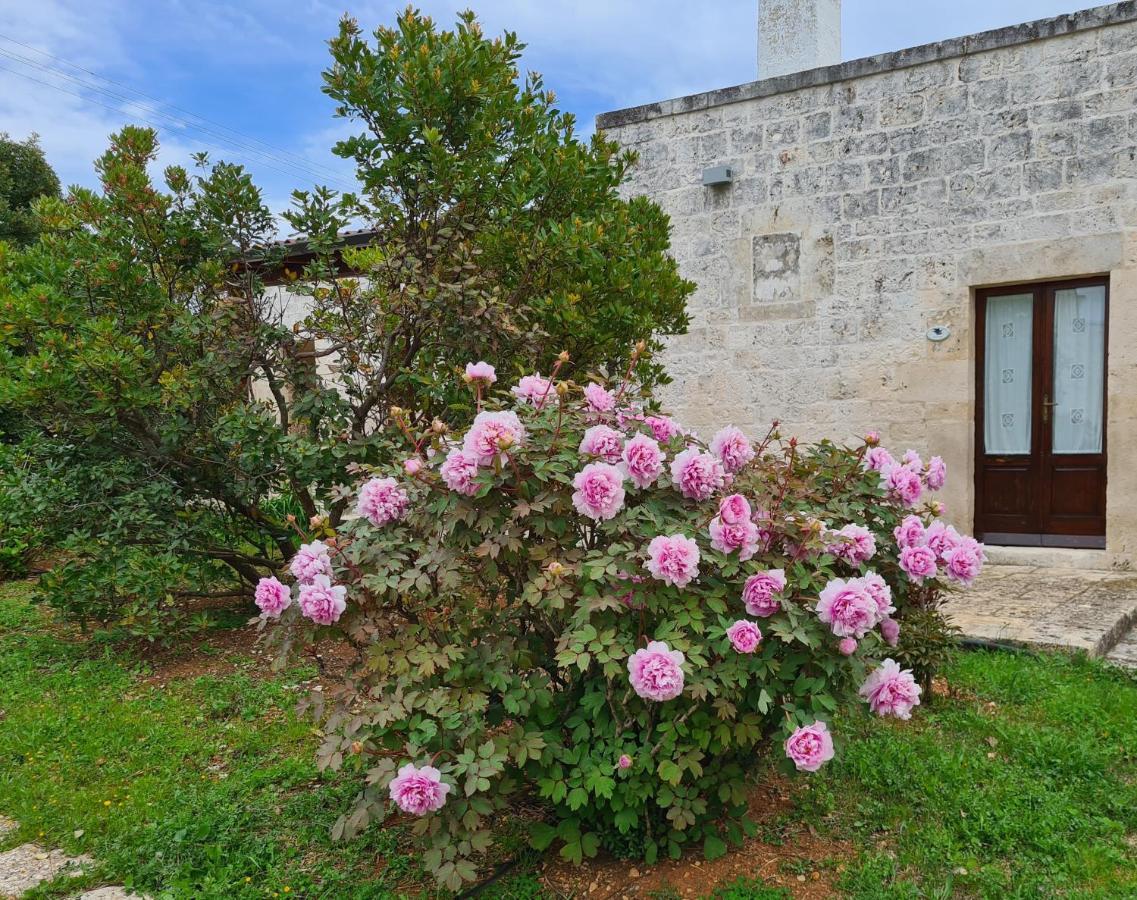 Masseria Montecchie Διαμέρισμα Ceglie Messapica Εξωτερικό φωτογραφία