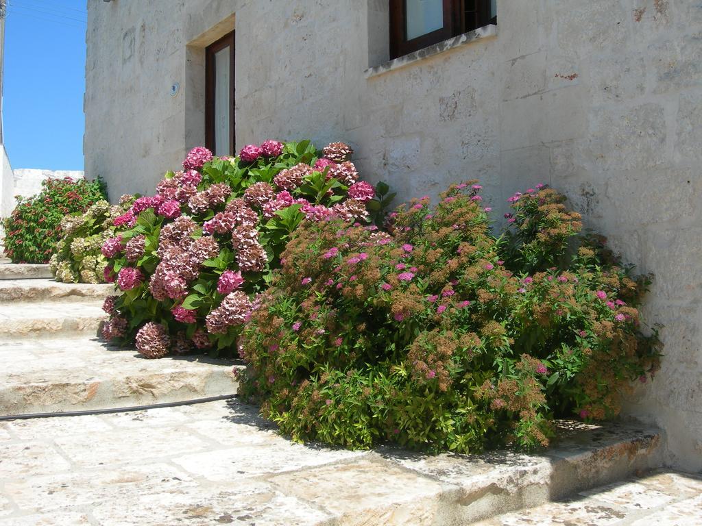 Masseria Montecchie Διαμέρισμα Ceglie Messapica Εξωτερικό φωτογραφία