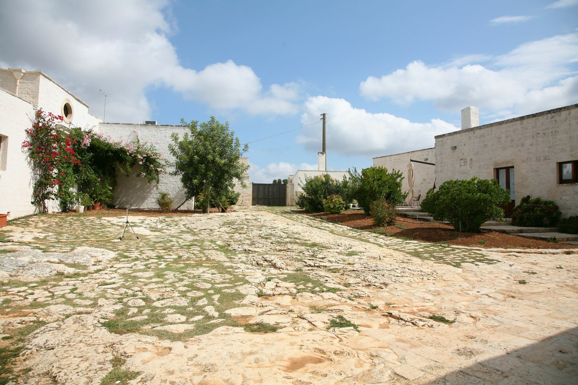 Masseria Montecchie Διαμέρισμα Ceglie Messapica Εξωτερικό φωτογραφία